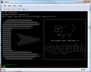 SSHD under Windows thanks to Cygwin
