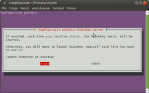 Launch MLDonkey at startup