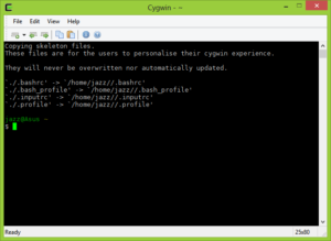 Cygwin First Run